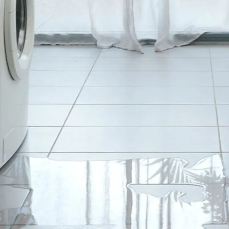 Appliance Leak Cleanup in Oakland, TN