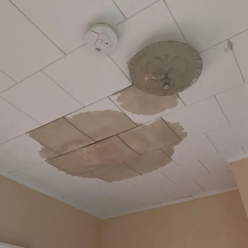 Ceiling Water Damage Repair in Oakland, TN