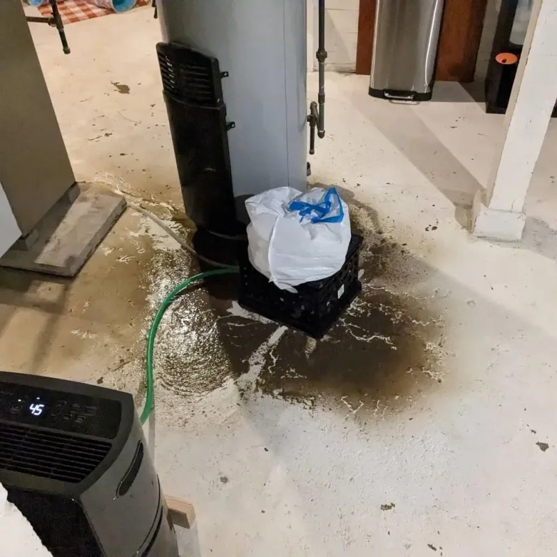 Sewage Backup Cleanup Service in Oakland, TN